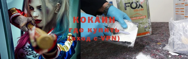 амф Верхний Тагил