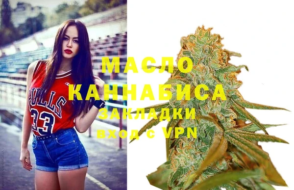 амф Верхний Тагил