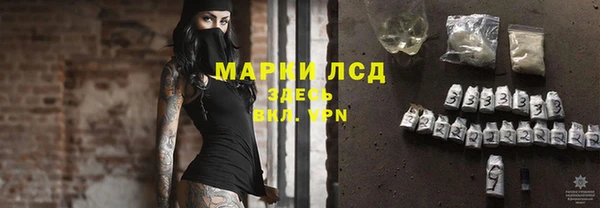 амф Верхний Тагил