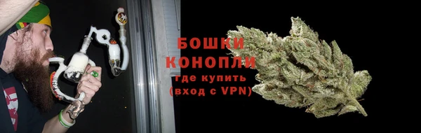 амф Верхний Тагил
