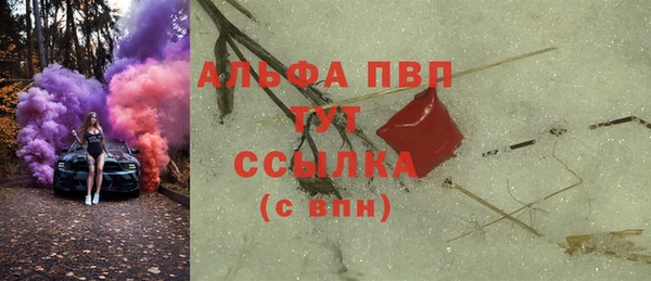 амф Верхний Тагил