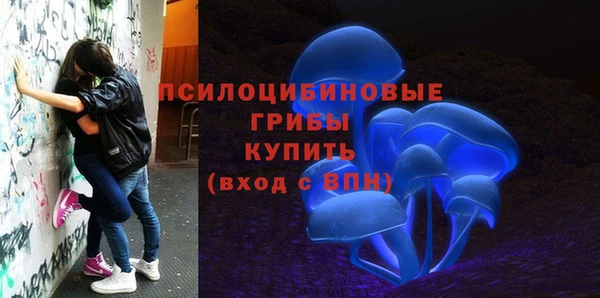 амф Верхний Тагил