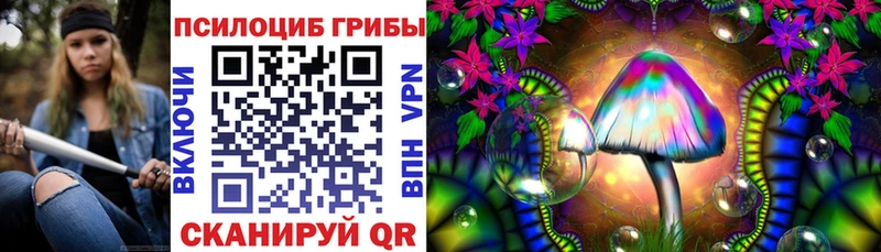 Псилоцибиновые грибы мицелий  Купить закладки  Алексин 